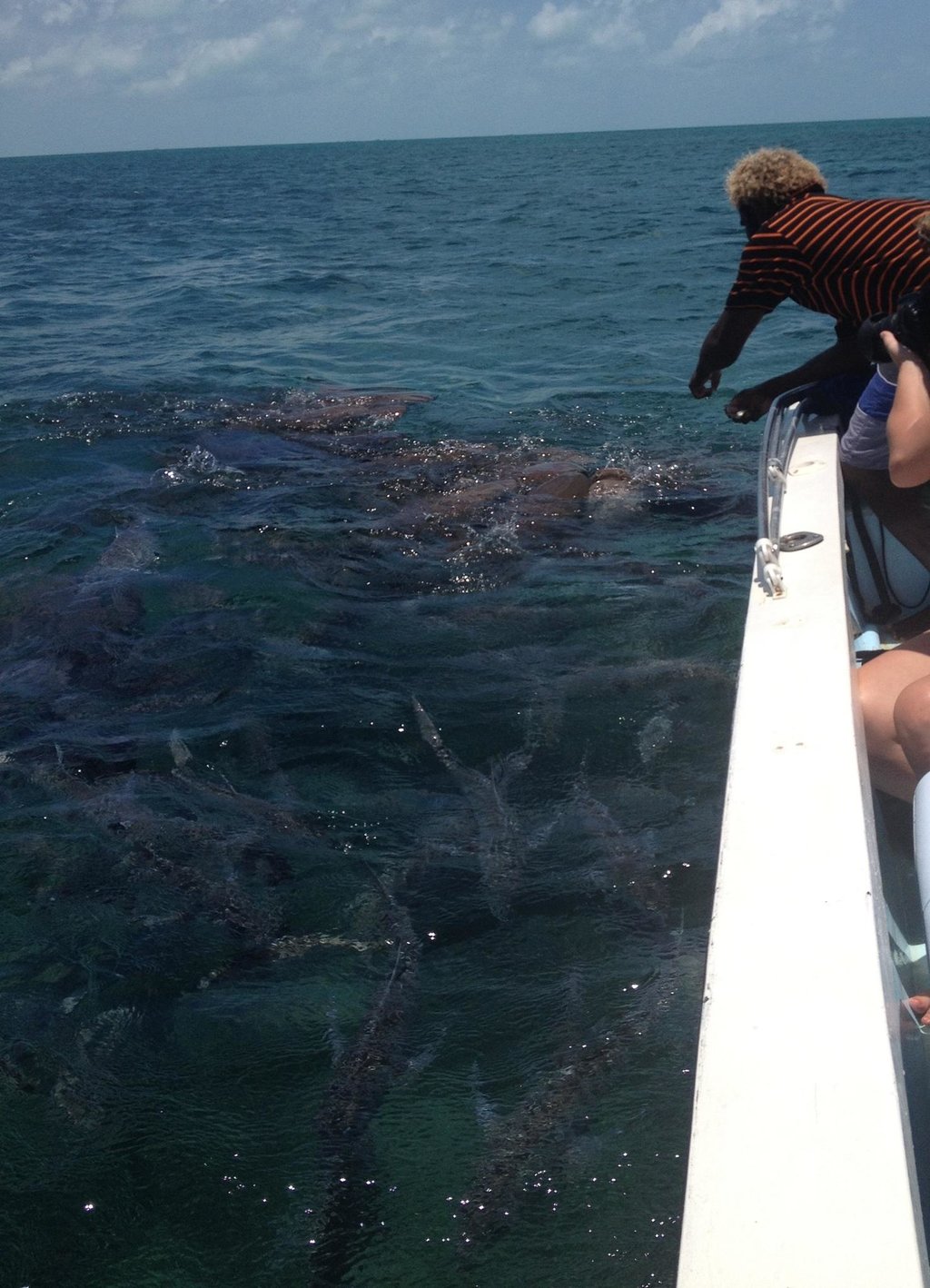 Caveman Snorkeling Tours