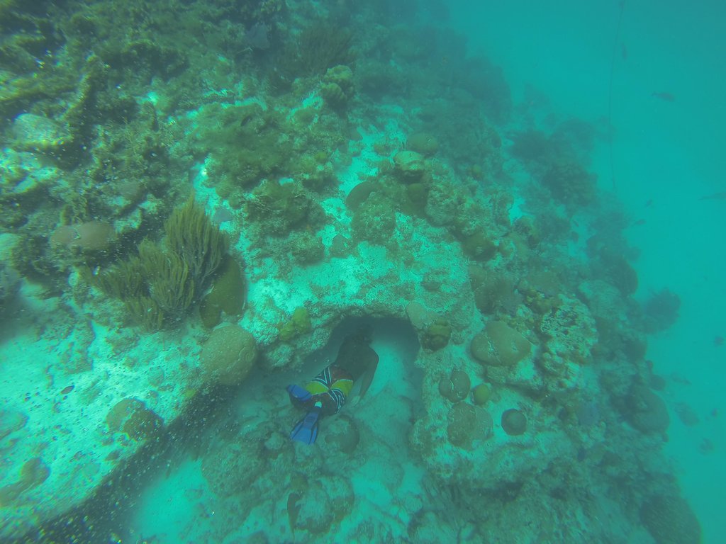 Caveman Snorkeling Tours