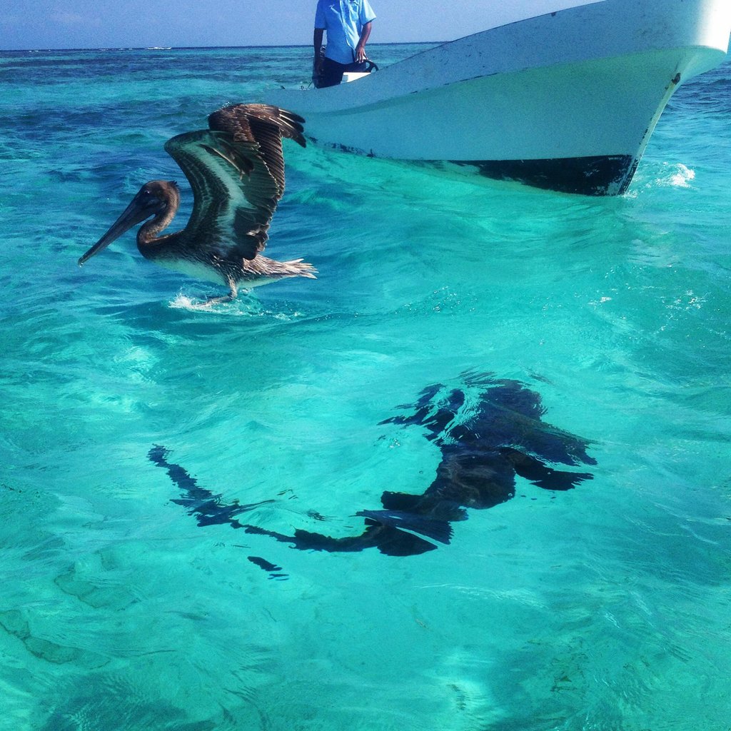 Caveman Snorkeling Tours